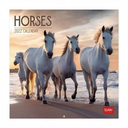  Legami - Calendario da Parete 2022, 18x18cm, Horses