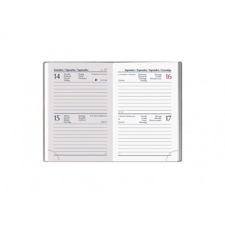 Agenda 2020 6,5X10 cm bi-giornaliera tascabile Pastel Mini - 4 Colori assortiti F03022