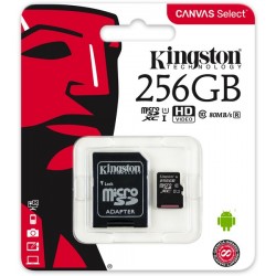 MICRO SD 256GB KINGSTON CLASSE 10 CON ADATTATORE
